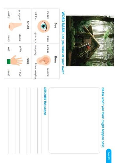 My tree house essay for class 1 picture