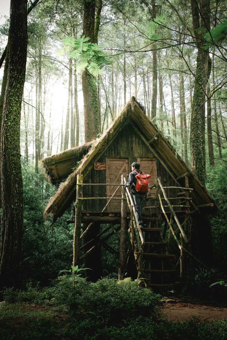 Descriptive Writing Kit Abandoned Tree house FlashAcademy