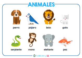 Spanish: Animal Poster 